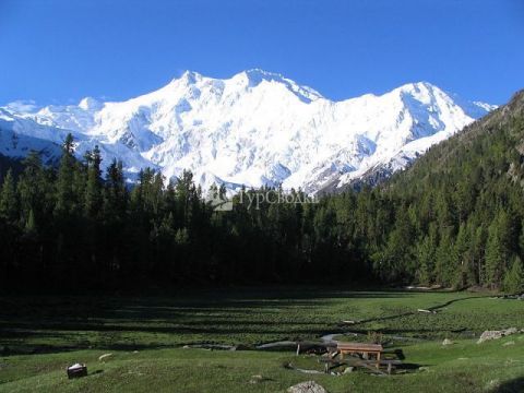 Гора Нангапарбат (Диамир). Автор: Atif Gulzar, wikimedia.org