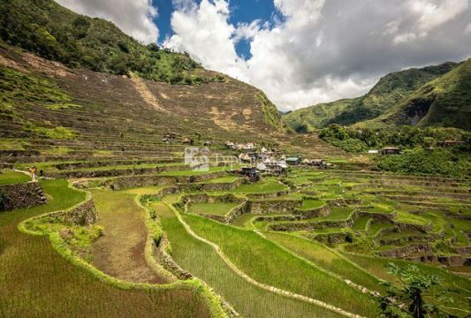 Рисовые террасы в Филиппинских Кордильерах