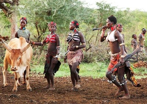 Племя Hammere  живущее на юго-западе Эфиопии.