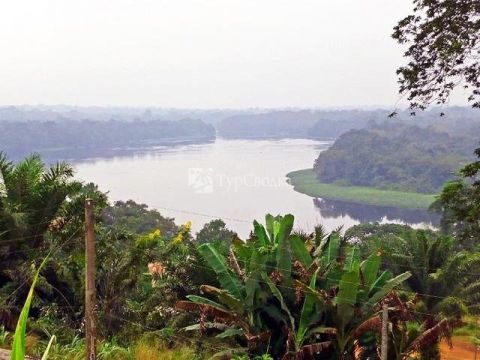 Самая большая река в Габоне, текущая через всю страну.
