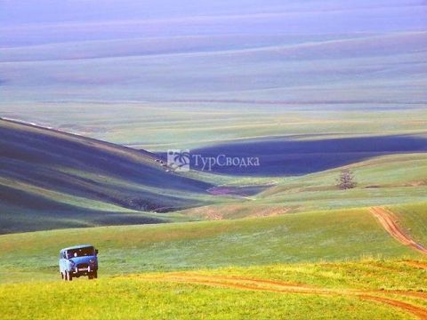 Монгольские степи.