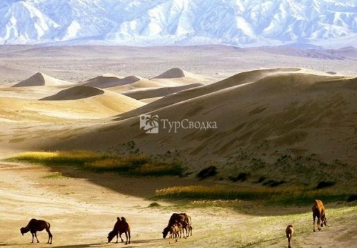 Ландшафт Монголии.
