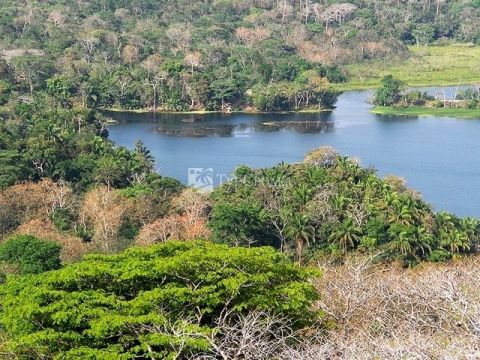 Национальный парк Гамбоа.
