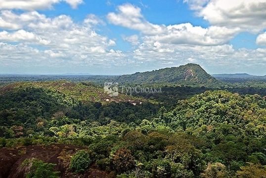 Ландшафт Суринама.
