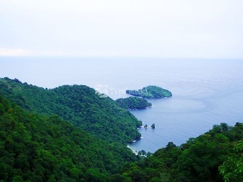 Северное побережье Тринидада.