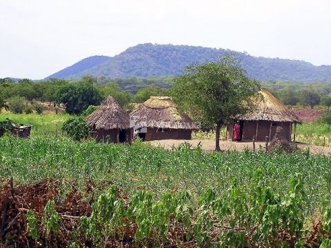 Типичное деревенское поселение Зимбабве.