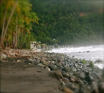Rosalie Bay Resort Roseau (Dominica) 4*