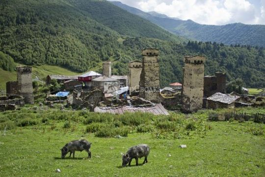 Пейзаж в горах Сванетия. Автор: &#304;hsan Deniz K&#305;l&#305;&#231;o&#287;lu, wikimedia.org