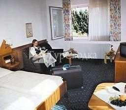 Hotel Wiental 4*