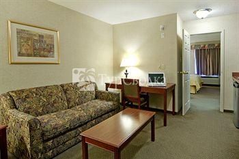 Comfort Inn & Suites University 2*