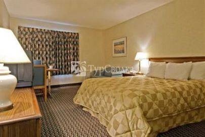 Comfort Inn Airport 3*