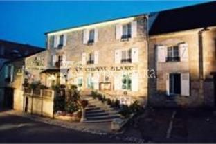 Hotel Le Cheval Blanc Langres 3*