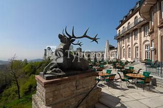 Schlosshotel Buhlerhohe 5*