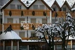 Alpen Hotel 3*