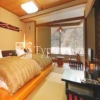 Ryokan Tanigawa 3*