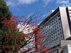 Okayama International Hotel 4*