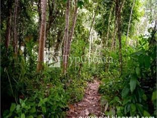 Gua Longhouse Chalet 1*