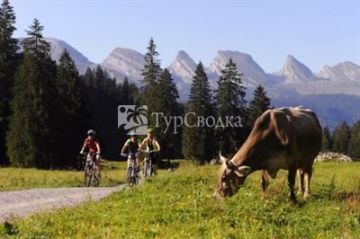 Hotel Toggenburg Wildhaus 3*